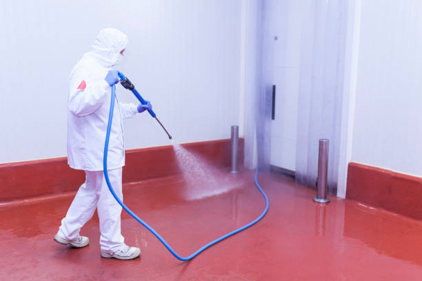 Best Sign and Awning Cleaning  in Gorman, TX