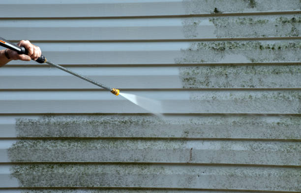 Best Roof Washing  in Gorman, TX